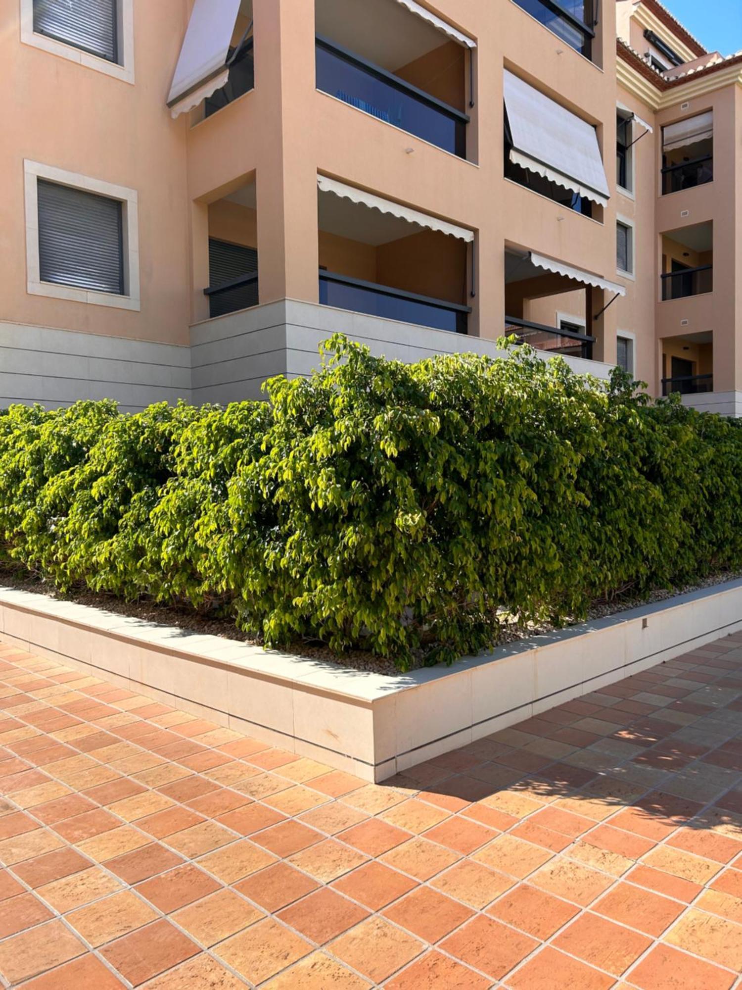 Jardines De Las Marinas Con Una Gran Terraza Daire Denia Dış mekan fotoğraf